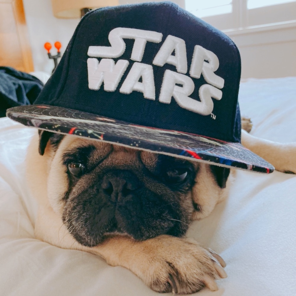 MAY THE 4TH BE WITH YOU POSHMARK PEEPS!